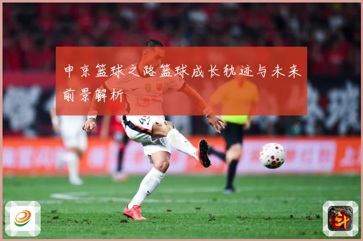 申京篮球之路篮球成长轨迹与未来前景解析