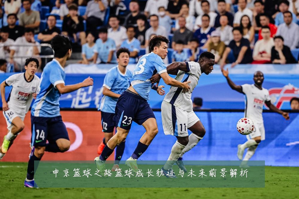 申京篮球之路篮球成长轨迹与未来前景解析